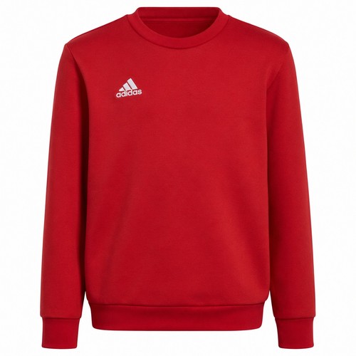 Adidas entrada sweatshirt - entrada,